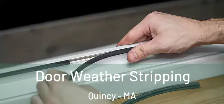  Door Weather Stripping Quincy - MA