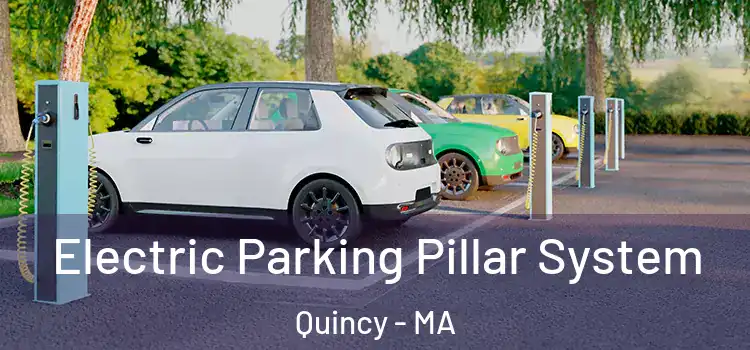  Electric Parking Pillar System Quincy - MA