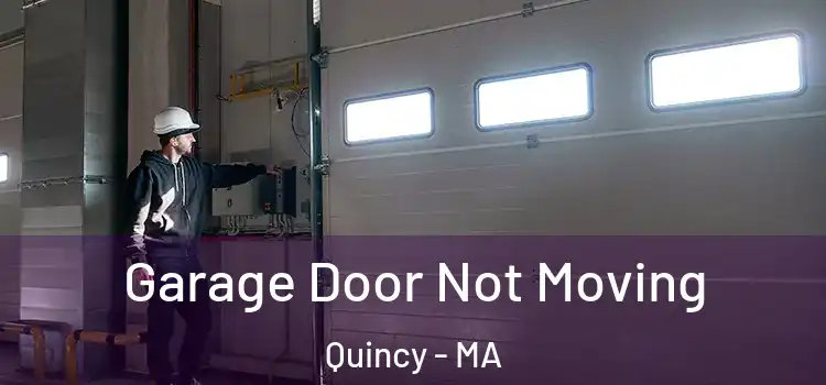 Garage Door Not Moving Quincy - MA