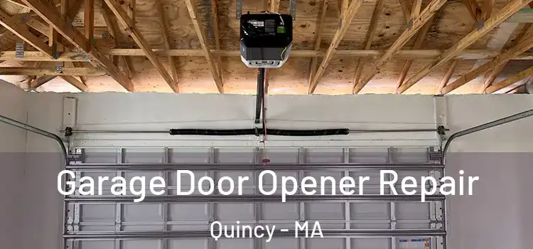  Garage Door Opener Repair Quincy - MA