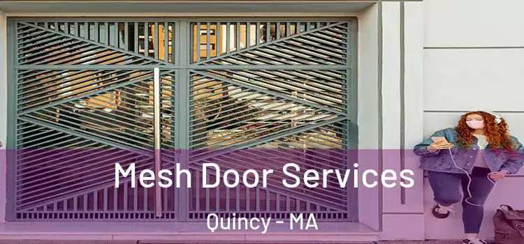  Mesh Door Services Quincy - MA