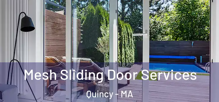 Mesh Sliding Door Services Quincy - MA