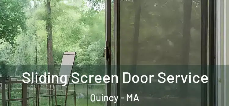  Sliding Screen Door Service Quincy - MA
